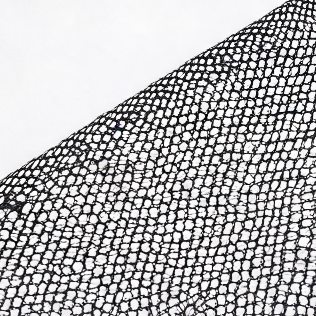 Noirelle – Transparent klänning midi bodycon z rękawiczkami i stringami, czarna