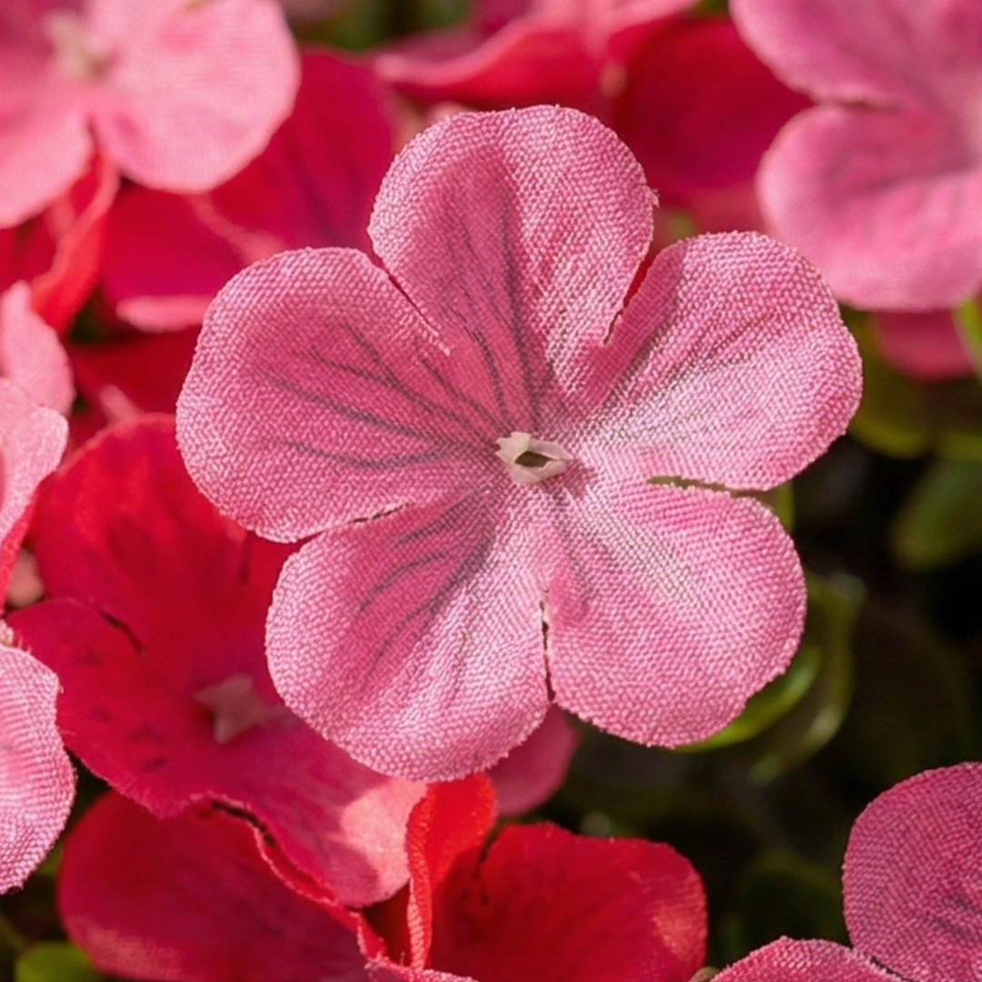 Bloomvera – Realistyczne Bukiety Kwiatów Jedwabnych
